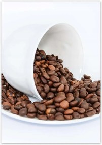 Poszterek 70x100 Szemes kĂĄvĂ© a szakĂ©rtĆnek