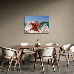 Egy tengeri csillag képe (70x50 cm)