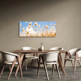 Kép - Arany mező (120x50 cm)