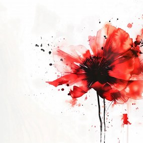 Poszter 40x40cm Folyékony akvarell