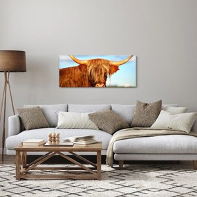 Kép - Skót tehén (120x50 cm)