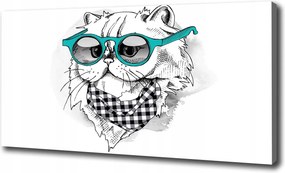 Vászonkép Macska szemüvegben 120x60 cm