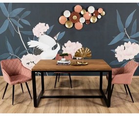 KÉSZLET 2x RICO étkezőszék rózsaszín