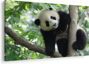 Kép - Panda a fán (90x60 cm)