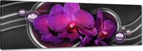 Vászonkép 150x50 Lila orchidea