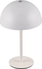 Trio MUNOZ R54891131 Asztali lámpa 1x1.3w/led 3000k 120lm ip20