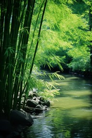 Poszter 20x30cm Bambusz nyugalom