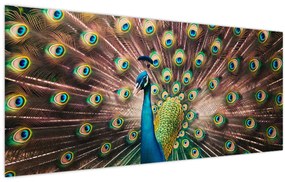Kép - Páva (120x50 cm)