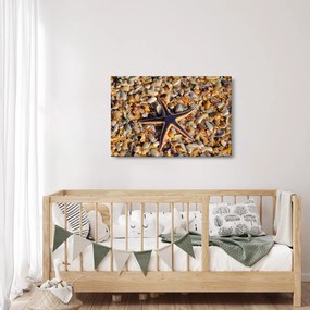 Egy tengeri csillag képe (90x60 cm)