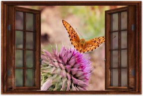 Poszterek 90x60 Pillangó