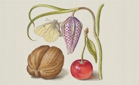 Dekoratív Fotótapéta Hálószoba Pillangó növények 416x254 Ragasztó