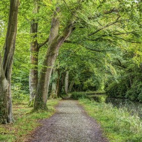 Poszter 50x50cm Ösvény a Basingstoke csatorna mentén, Assaf Frank