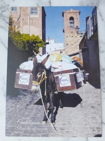 Grafika Keret Olaszország Italia Szicília Castelbuono Szamár