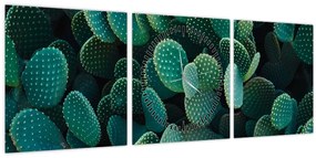 Kép - Opuntia (órával) (90x30 cm)