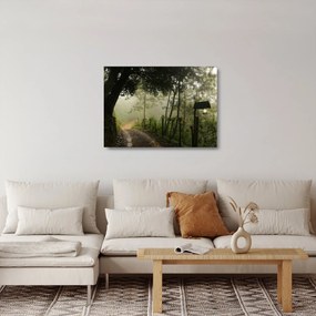 Reggeli köd képe (üvegen) (70x50 cm)