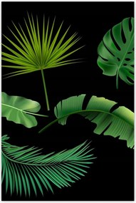 Poszterek 80x120 Trópusi zöld levelek