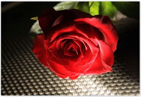 Poszterek 185x125 Érdekes ötlet