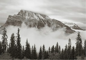 Flizelin tapéta Divatos 3D fali ragasztóval Hegyi táj 312x219 Ragasztó