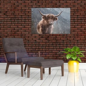 Kép - Highlander tehén (90x60 cm)