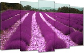Vászonkép 100x60 Levendulamező