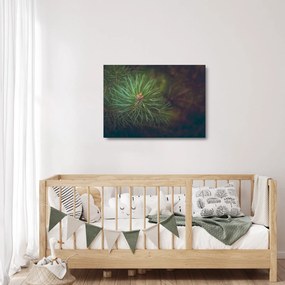Kép - Fenyőfa részlete (üvegen) (70x50 cm)