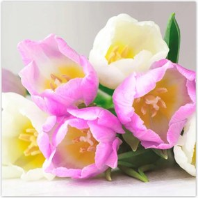 Poszterek 100x100 Finom tulipánok