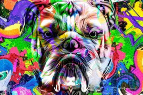 Öntapadó tapéta pop-art bulldog