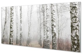 Üvegképek köd nyír 125x50 cm