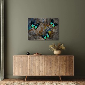 Kép - fényes pillangók képben (üvegen) (70x50 cm)