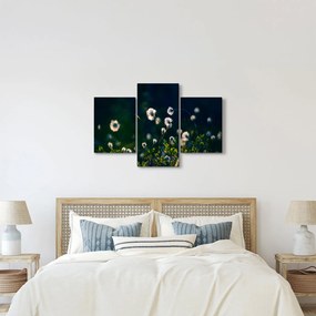 Kép - Fű (90x60 cm)