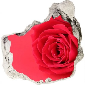 3d lyuk fal dekoráció Vörös rózsa nd-p-77656963
