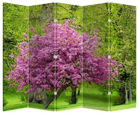 Paraván - A réten virágzó fa (210x170 cm)