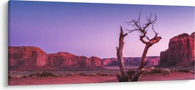 Fa a vörös szikláknál (120x50 cm)