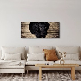 Egy fekete kiskutya képe (120x50 cm)