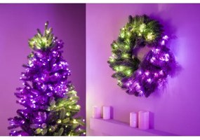 Twinkly GD20P4425P00 - RGB LED karácsonyi koszorú 50 LED, 60 cm, Wi-Fi, dimmer