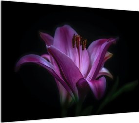 A liliom képe
 (üvegen) (70x50 cm)