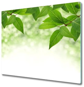 Üveg vágódeszka Zöld levelek 60x52 cm