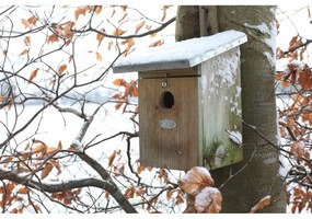 Fa madárház – Esschert Design