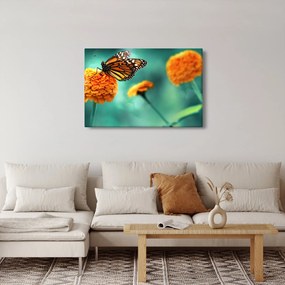 Egy pillangó képe (90x60 cm)