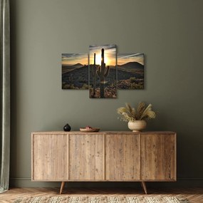 Kép - kaktuszok a napon (90x60 cm)
