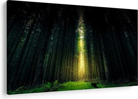 Sötét erdő képe (90x60 cm)