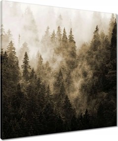 Vászonkép 60x60 Tájkép Szépia Hegyek Köd