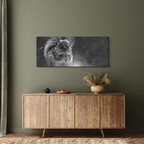 Kép - Mókus télen (120x50 cm)