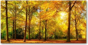 Fotó kép edzett üveg Őszi erdő 140x70