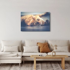 Egy kép a macskáról a padlón (90x60 cm)