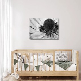 Üveg kép - Virág fekete-fehérben (70x50 cm)
