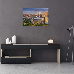 Kép - panoráma Rotterdam, Hollandia (üvegen) (70x50 cm)