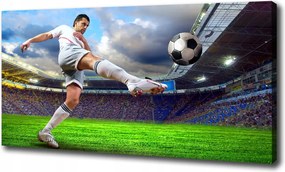 Canvas focista a stadionban fotótapéta 100x70 cm