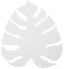 Monstera