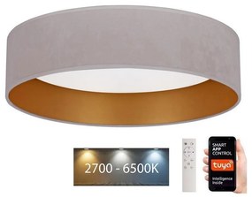 Brilagi - LED Dimmelhető lámpa VELVET SMART LED/24W/230V Wi-Fi Tuya + távirányító